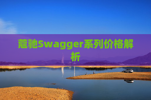 蔻驰Swagger系列价格解析